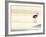 Bird at The Beach-Sylvia Coomes-Framed Photographic Print