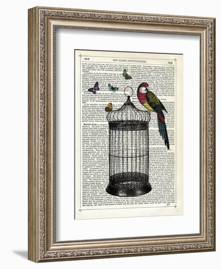 Bird Cage and Parrot-Marion Mcconaghie-Framed Art Print