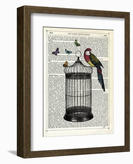 Bird Cage and Parrot-Marion Mcconaghie-Framed Art Print