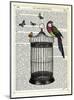 Bird Cage and Parrot-Marion Mcconaghie-Mounted Art Print