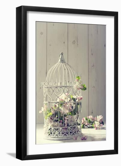 Bird Cage Filled with Apple Tree Blossom with Vintage Effect-Amd Images-Framed Photographic Print