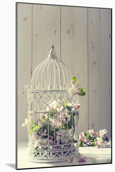 Bird Cage Filled with Apple Tree Blossom with Vintage Effect-Amd Images-Mounted Photographic Print