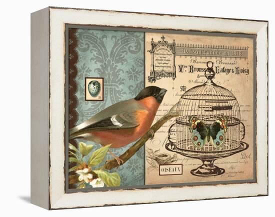 Bird & Cage I-Gwendolyn Babbitt-Framed Stretched Canvas