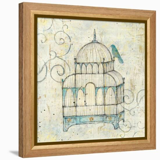 Bird Cage II-Avery Tillmon-Framed Stretched Canvas