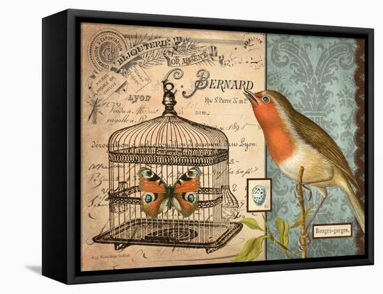 Bird & Cage II-Gwendolyn Babbitt-Framed Stretched Canvas