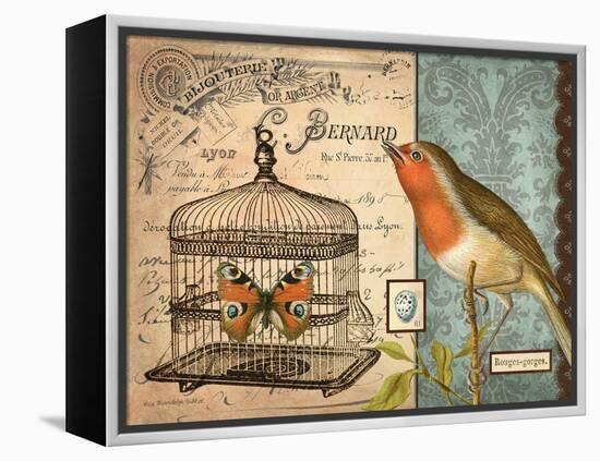 Bird & Cage II-Gwendolyn Babbitt-Framed Stretched Canvas