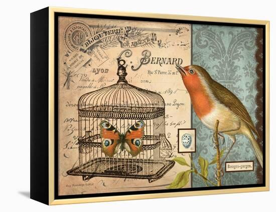 Bird & Cage II-Gwendolyn Babbitt-Framed Stretched Canvas