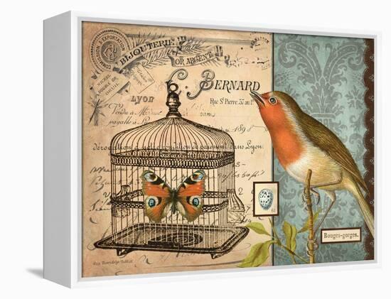 Bird & Cage II-Gwendolyn Babbitt-Framed Stretched Canvas