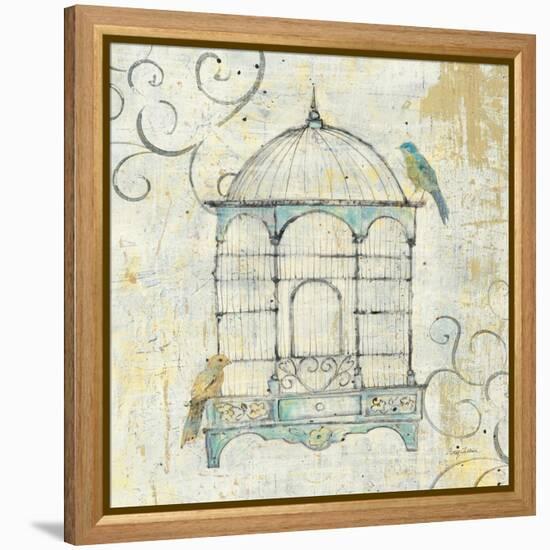 Bird Cage IV-Avery Tillmon-Framed Stretched Canvas