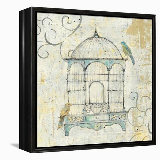 Bird Cage IV-Avery Tillmon-Framed Stretched Canvas