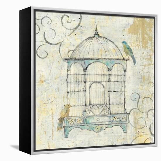 Bird Cage IV-Avery Tillmon-Framed Stretched Canvas