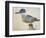 Bird, Close to the Jay of France, Near the Strait of Magellan-null-Framed Giclee Print