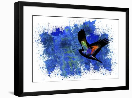 Bird Collection 9-Ata Alishahi-Framed Giclee Print