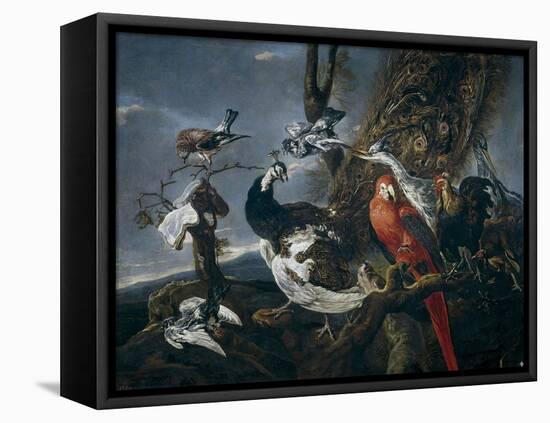 Bird Concert, 1661-Jan Fyt-Framed Premier Image Canvas