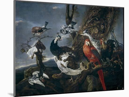 Bird Concert, 1661-Jan Fyt-Mounted Giclee Print