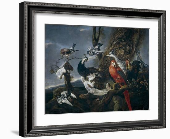 Bird Concert, 1661-Jan Fyt-Framed Giclee Print