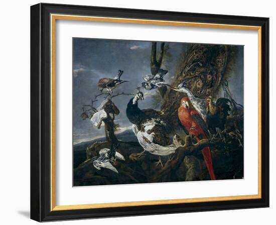 Bird Concert, 1661-Jan Fyt-Framed Giclee Print