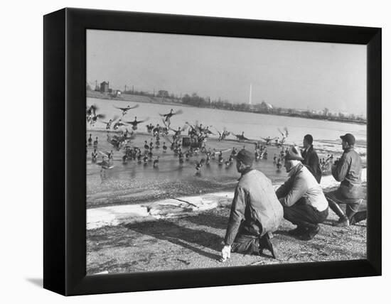 Bird Counters of the Audubon Society Observing Flock of Pintail and Mallard Ducks-Francis Miller-Framed Premier Image Canvas