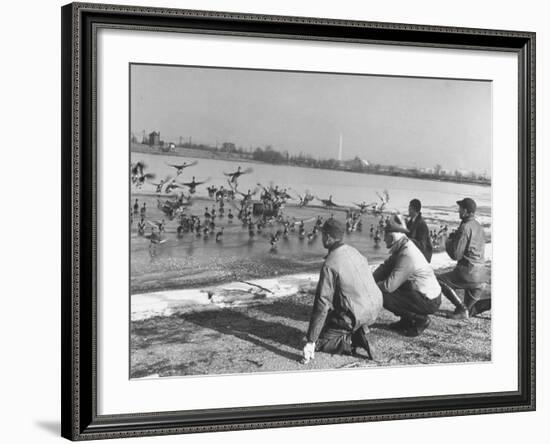 Bird Counters of the Audubon Society Observing Flock of Pintail and Mallard Ducks-Francis Miller-Framed Premium Photographic Print