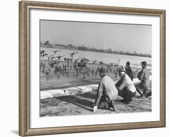 Bird Counters of the Audubon Society Observing Flock of Pintail and Mallard Ducks-Francis Miller-Framed Premium Photographic Print