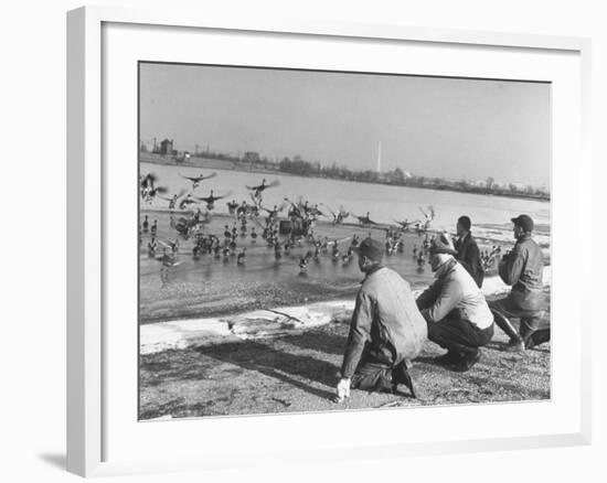 Bird Counters of the Audubon Society Observing Flock of Pintail and Mallard Ducks-Francis Miller-Framed Premium Photographic Print