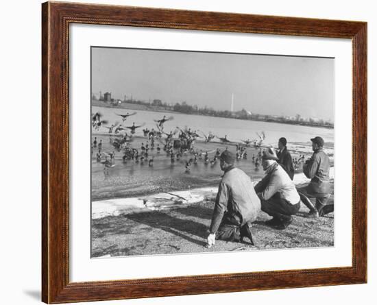 Bird Counters of the Audubon Society Observing Flock of Pintail and Mallard Ducks-Francis Miller-Framed Premium Photographic Print