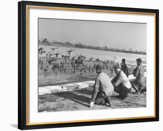 Bird Counters of the Audubon Society Observing Flock of Pintail and Mallard Ducks-Francis Miller-Framed Premium Photographic Print