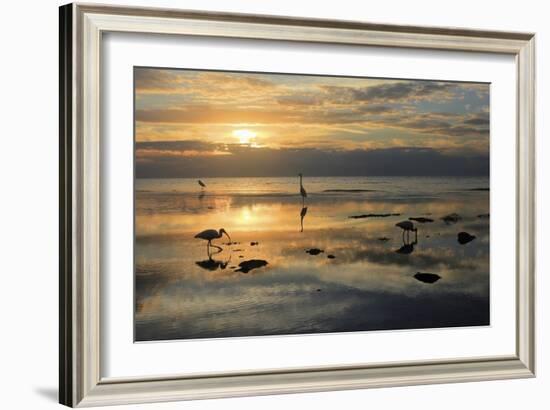 Bird Dawn 4-Robert Goldwitz-Framed Giclee Print