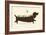 Bird Dog-Jay Fleck-Framed Art Print