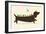 Bird Dog-Jay Fleck-Framed Art Print