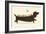 Bird Dog-Jay Fleck-Framed Art Print