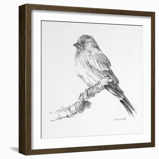 Bird Drawing I-Lanie Loreth-Framed Art Print