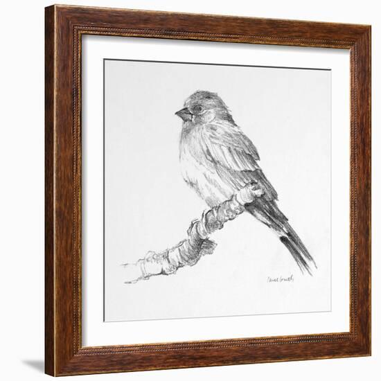 Bird Drawing I-Lanie Loreth-Framed Art Print