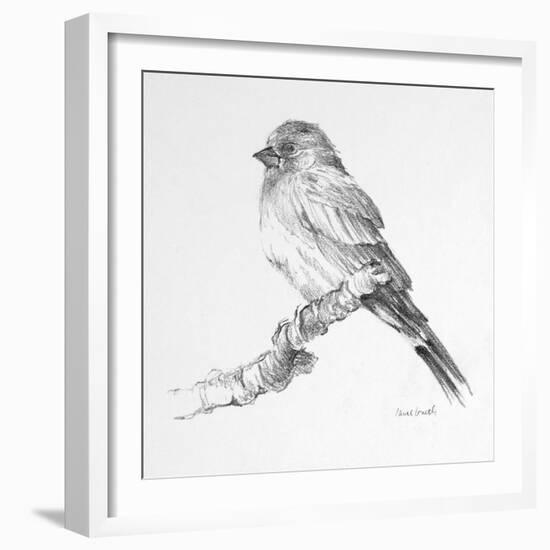 Bird Drawing I-Lanie Loreth-Framed Art Print