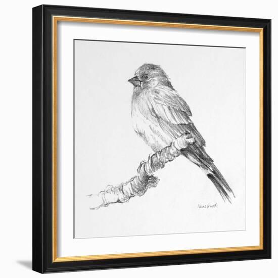 Bird Drawing I-Lanie Loreth-Framed Art Print