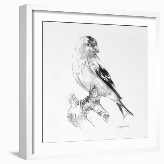 Bird Drawing II-Lanie Loreth-Framed Art Print