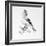 Bird Drawing II-Lanie Loreth-Framed Art Print