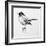 Bird Drawing III-Lanie Loreth-Framed Premium Giclee Print