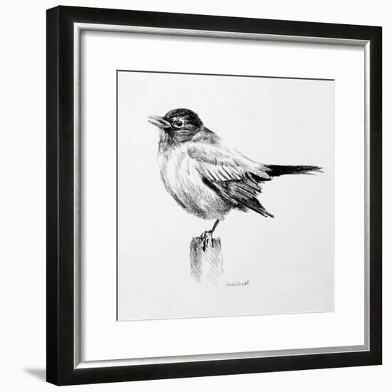 Bird Drawing III-Lanie Loreth-Framed Premium Giclee Print