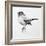 Bird Drawing III-Lanie Loreth-Framed Art Print