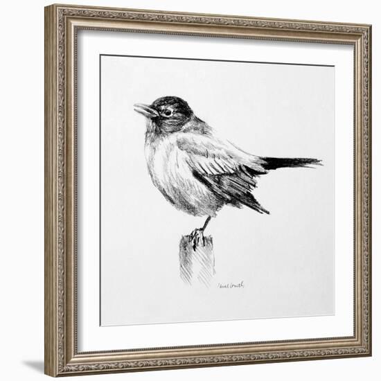 Bird Drawing III-Lanie Loreth-Framed Art Print