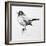 Bird Drawing III-Lanie Loreth-Framed Art Print