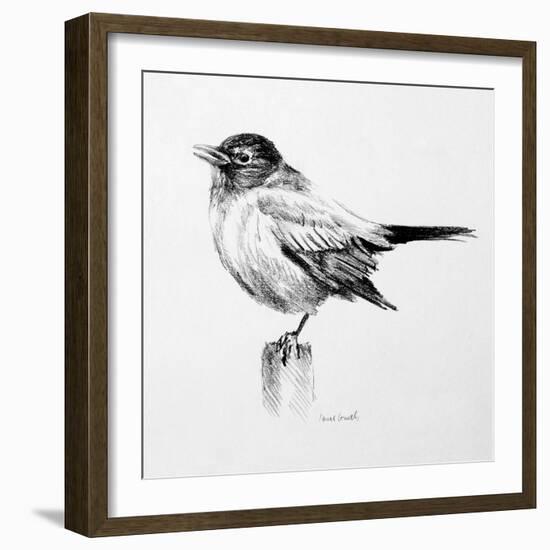 Bird Drawing III-Lanie Loreth-Framed Art Print