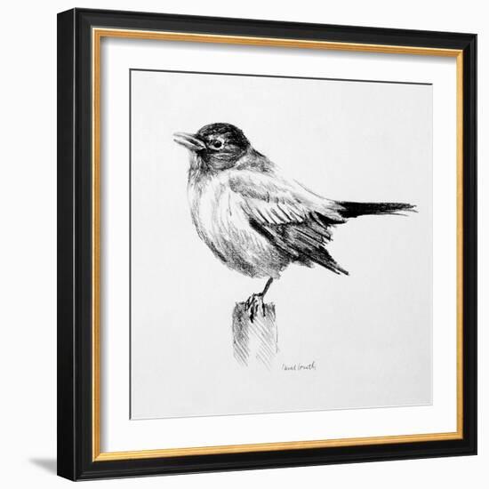 Bird Drawing III-Lanie Loreth-Framed Art Print