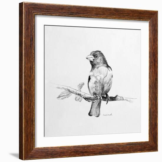 Bird Drawing IV-Lanie Loreth-Framed Art Print