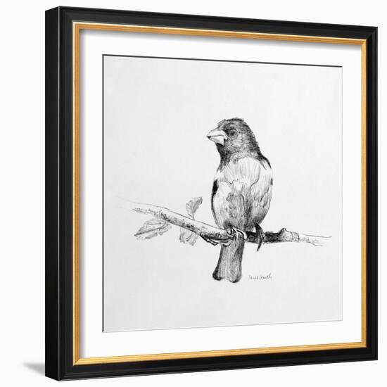 Bird Drawing IV-Lanie Loreth-Framed Art Print