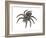 Bird-Eating Spider (Theraphosa), Arachnids-Encyclopaedia Britannica-Framed Art Print