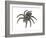 Bird-Eating Spider (Theraphosa), Arachnids-Encyclopaedia Britannica-Framed Art Print