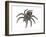 Bird-Eating Spider (Theraphosa), Arachnids-Encyclopaedia Britannica-Framed Art Print