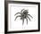 Bird-Eating Spider (Theraphosa), Arachnids-Encyclopaedia Britannica-Framed Art Print